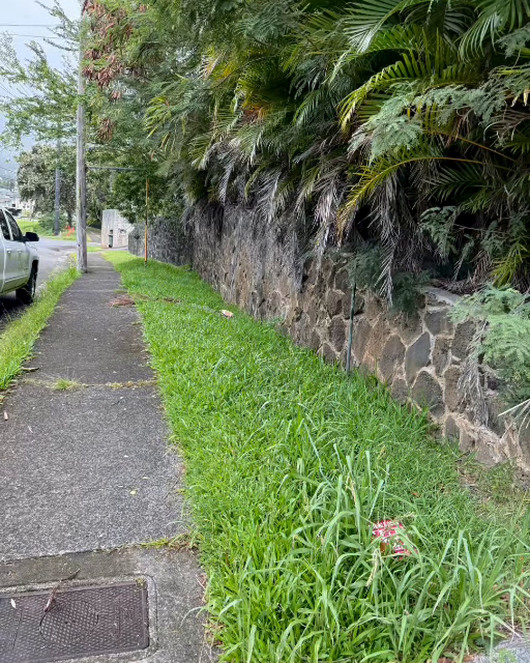 Outdoor maintenance work at an Oʻahu property