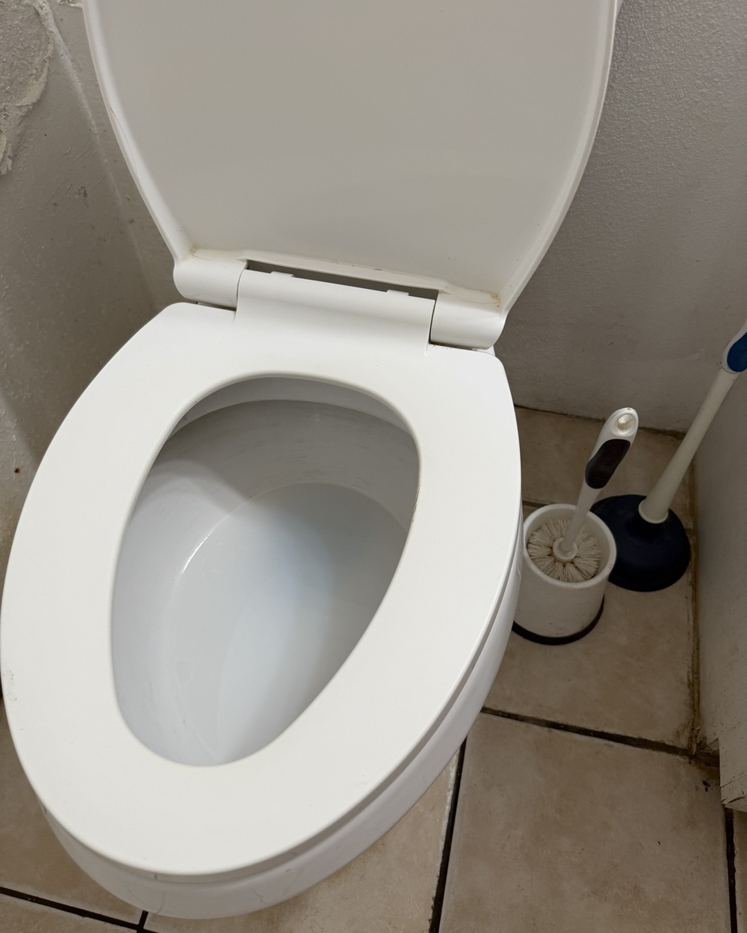 After — The same toilet before and after a Clean Route Systems detail clean